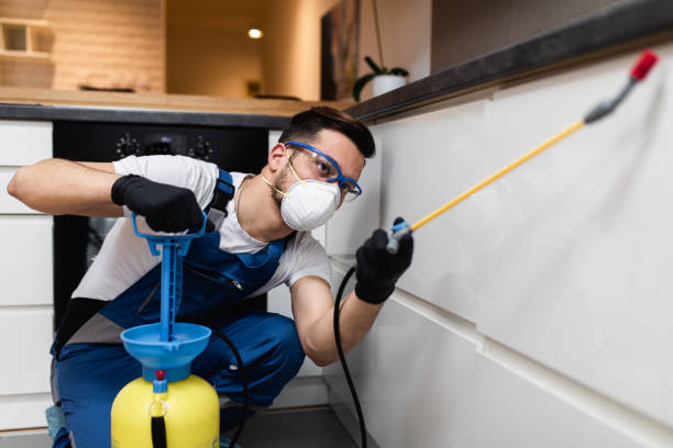 Best Mosquito Control Services  in Rosendale, WI