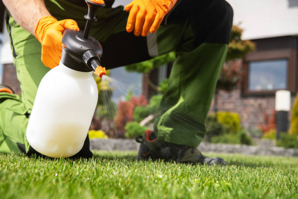 Best Pest Inspection Near Me  in Rosendale, WI