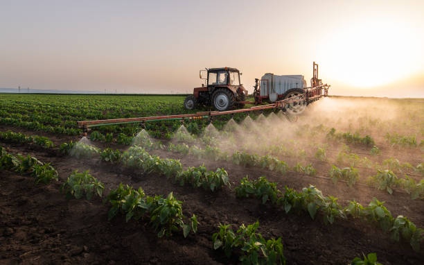 Reliable Rosendale, WI Pest Control Solutions