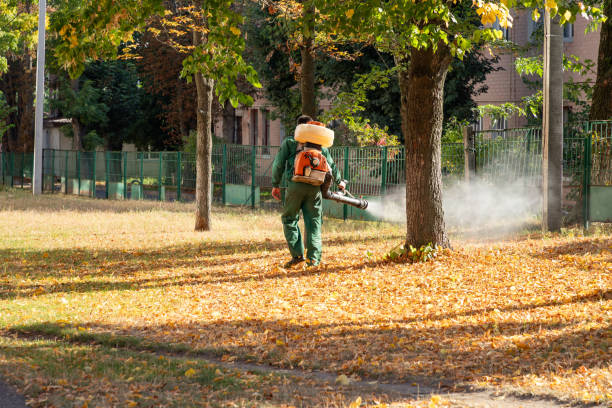 Best Flea Control Services  in Rosendale, WI
