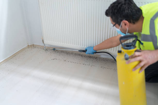 Best Exterminator Services  in Rosendale, WI